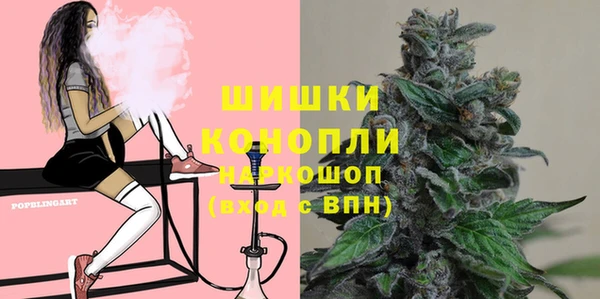 СК Няндома