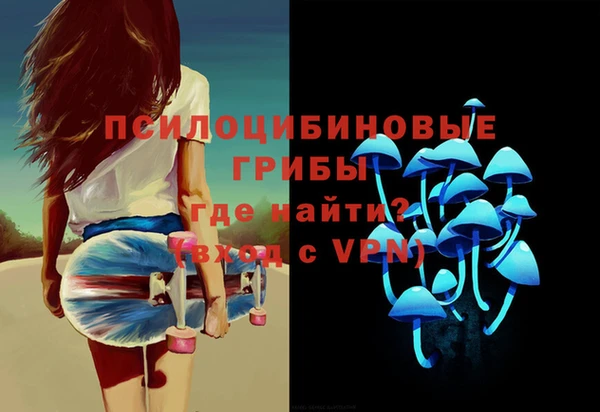 СК Няндома