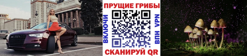 Галлюциногенные грибы ЛСД  Пучеж 